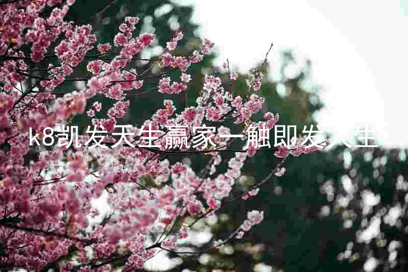 k8凯发天生赢家一触即发人生