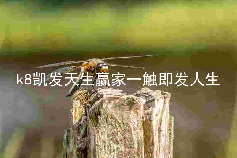 k8凯发天生赢家一触即发人生