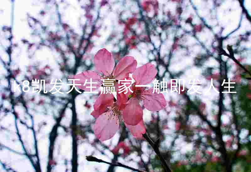 k8凯发天生赢家一触即发人生