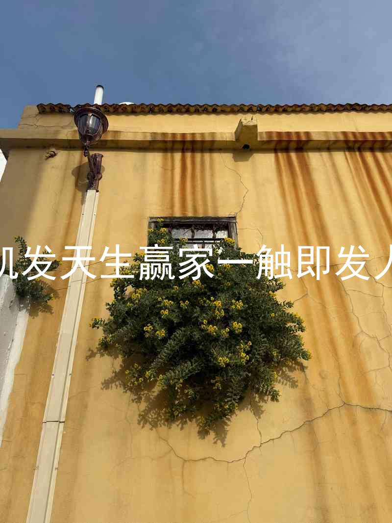 k8凯发天生赢家一触即发人生